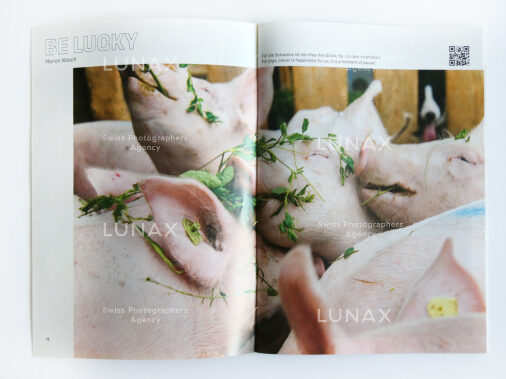 Zine #05 Forever Happy