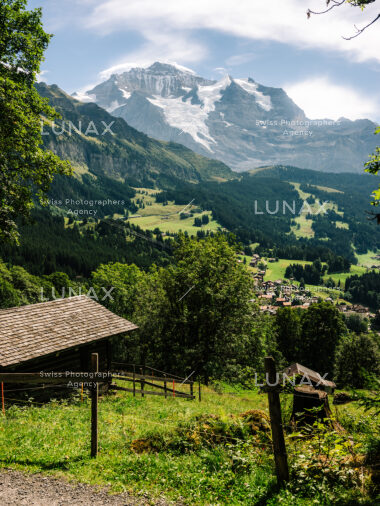 Jungfrau mit Giessengletscher bei Wengen