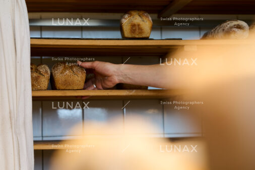 Hofreportage auf Gut Rheinau, dem schweizweit grössten Demeter-Betrieb