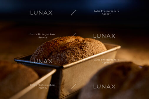 Hofreportage auf Gut Rheinau, dem schweizweit grössten Demeter-Betrieb