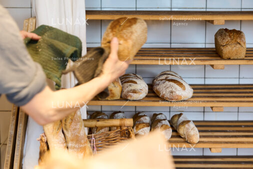 Hofreportage auf Gut Rheinau, dem schweizweit grössten Demeter-Betrieb