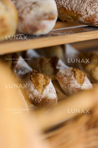 Hofreportage auf Gut Rheinau, dem schweizweit grössten Demeter-Betrieb