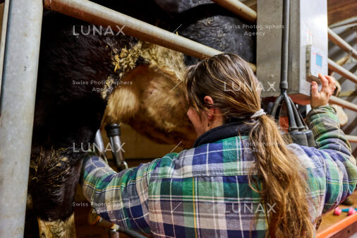 Hofreportage auf Gut Rheinau, dem schweizweit grössten Demeter-Betrieb