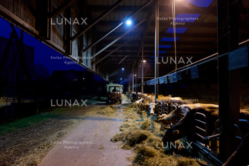 Hofreportage auf Gut Rheinau, dem schweizweit grössten Demeter-Betrieb