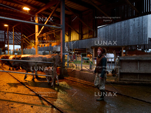 Hofreportage auf Gut Rheinau, dem schweizweit grössten Demeter-Betrieb