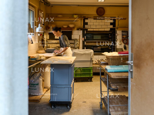 Hofreportage auf Gut Rheinau, dem schweizweit grössten Demeter-Betrieb