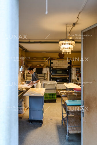 Hofreportage auf Gut Rheinau, dem schweizweit grössten Demeter-Betrieb