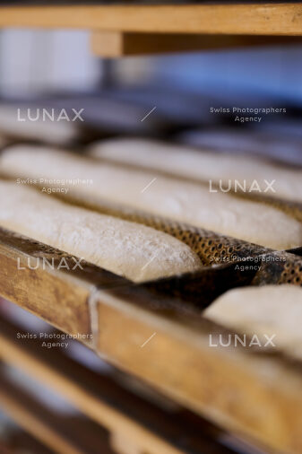 Hofreportage auf Gut Rheinau, dem schweizweit grössten Demeter-Betrieb