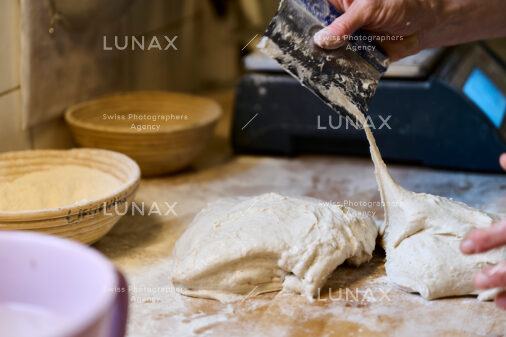 Hofreportage auf Gut Rheinau, dem schweizweit grössten Demeter-Betrieb