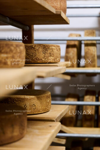 Hofreportage auf Gut Rheinau, dem schweizweit grössten Demeter-Betrieb