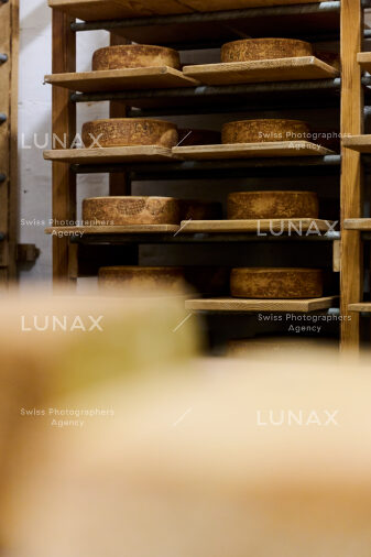 Hofreportage auf Gut Rheinau, dem schweizweit grössten Demeter-Betrieb