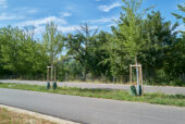 LUCJ001073.jpg