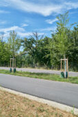 LUCJ001074.jpg