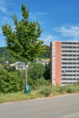 LUCJ001080.jpg