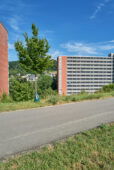 LUCJ001081.jpg