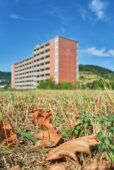 LUCJ001082.jpg