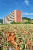 LUCJ001084.jpg