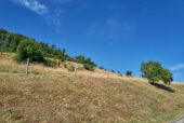 LUCJ001088.jpg