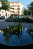 LUCJ001112.jpg