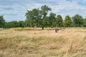 LUCJ001122.jpg
