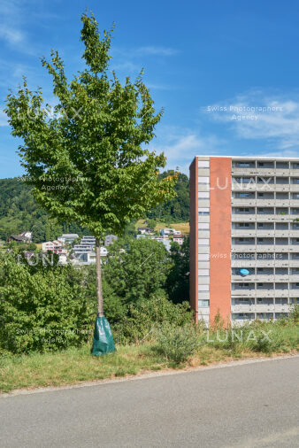 Hitze_Trockenheit