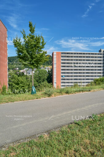 Hitze_Trockenheit