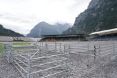 LUFW002573.jpg